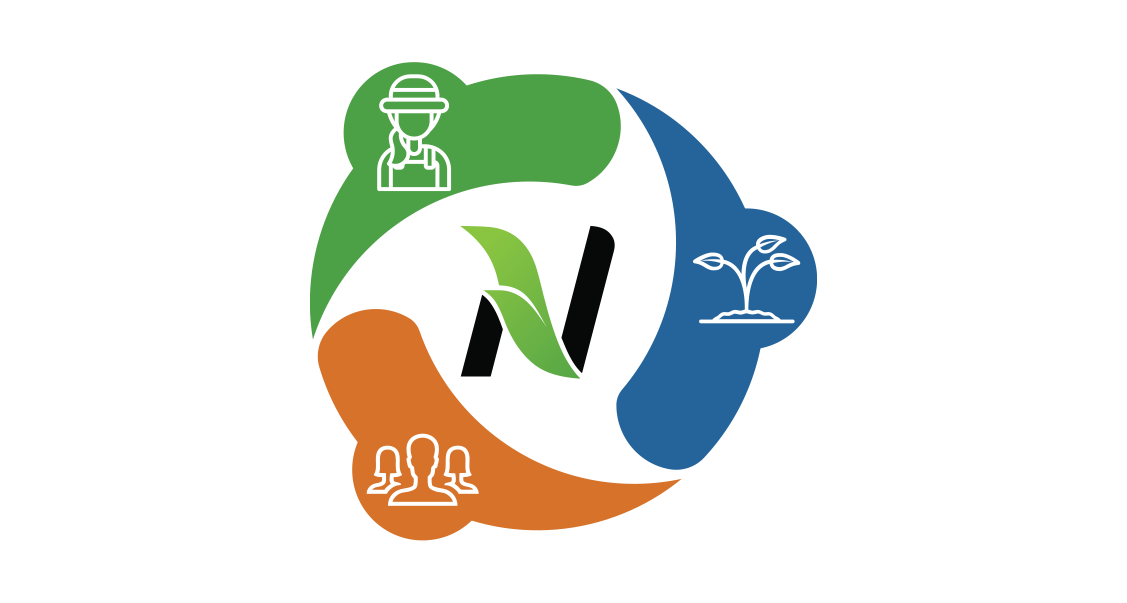 Infografico com ciclo de sustentabilidade